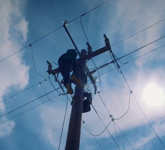 Agriland and ESB Networks to launch ‘Spring Safety Series’