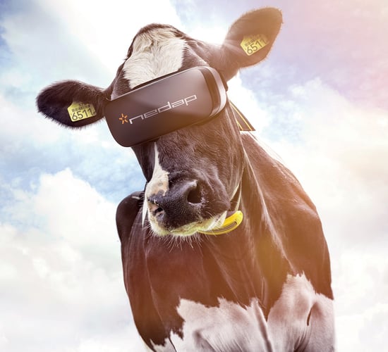 Munster dairy farmer uses Censortec system to achieve successful breeding