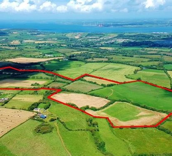 Munster market: High-quality grassland up for grabs in 2 locations
