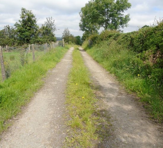 Humphreys announces €40 million to upgrade rural laneways