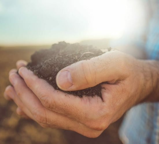 Public invited to contribute to preparation of new EU Soil Strategy