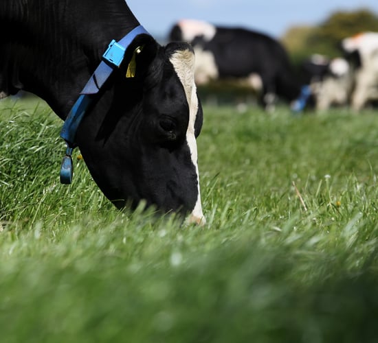 €3 million for collaborative developments at UCD Lyons Farm