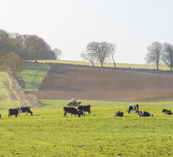 Ifac Farm Report: 75% of farmers 'deeply concerned' over inputs