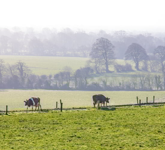 Chilly weekend in store with chance of snow