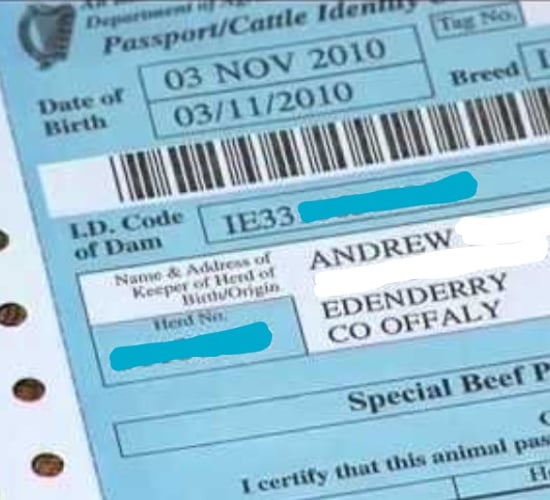 Extra dam data to be included on bovine passports
