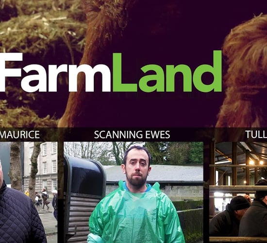 FARMLAND: 23rd January 2020
