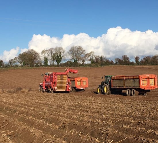 'Potato price needs to rise to ensure industry's future'