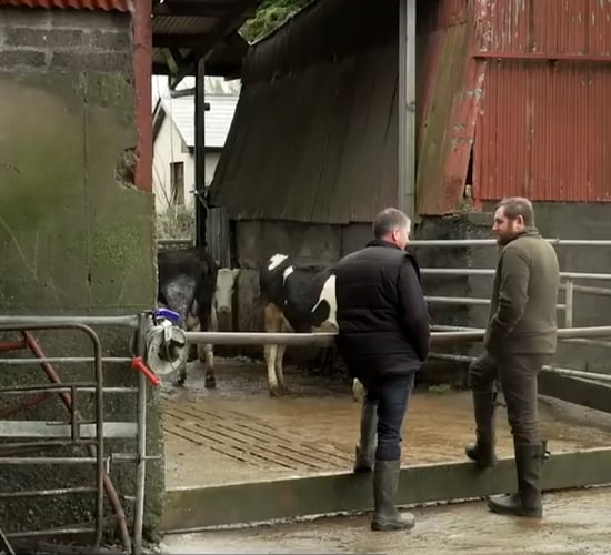 'George goes dairy farming': Peter Mongey - Co. Meath