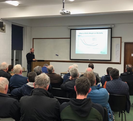 'Digestible undegradable protein is essential for colostrum production' - Teagasc