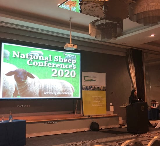 Anthelmintic resistance: Is it a concern on Irish sheep farms?