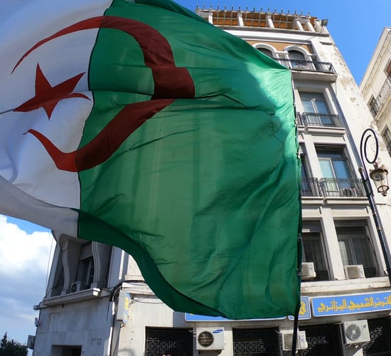 Ireland 'has to build' on Algeria live export development - ICMSA