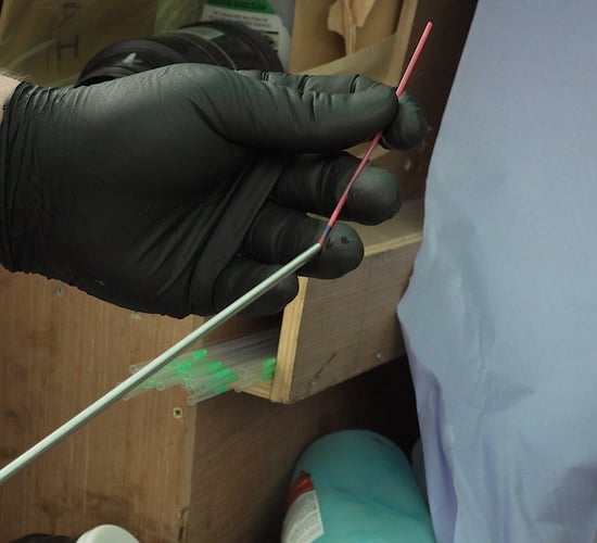 Sexing Technologies to open Irish sexed semen sorting lab in November