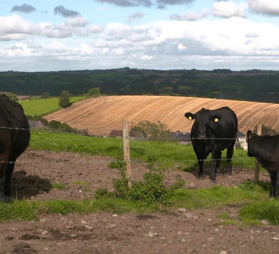 New minister's 'duty of care' must 'extend equally' to all farmers - INHFA