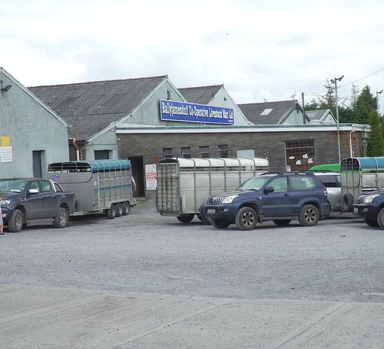 Watch: Boards to promote well-being set up at Ballyjamesduff Mart