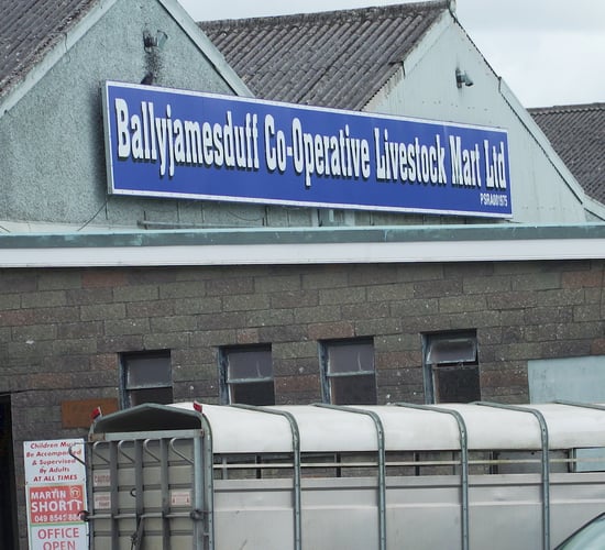 Good appetite among buyers at Ballyjamesduff sales
