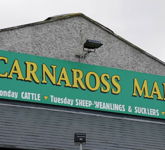 Carnaross Mart postpones reopening sale