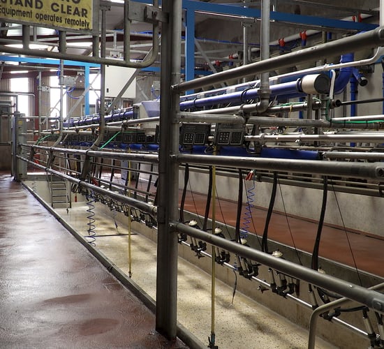 ICMSA expects milk price rise on back of Asian demand