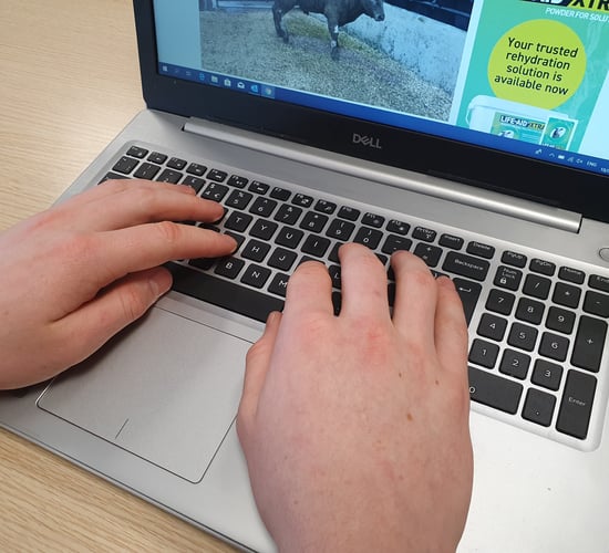 Looking for a new opportunity? Agriland Media Group is hiring