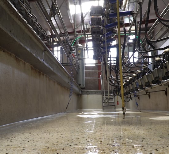 Dairy sector: 500 work permits 'under active consideration'