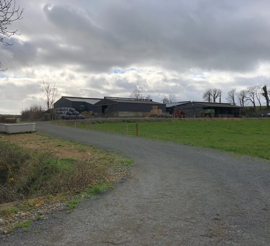 Infrastructure focus: Going the extra step to improve cow flow and comfort in Co. Wexford