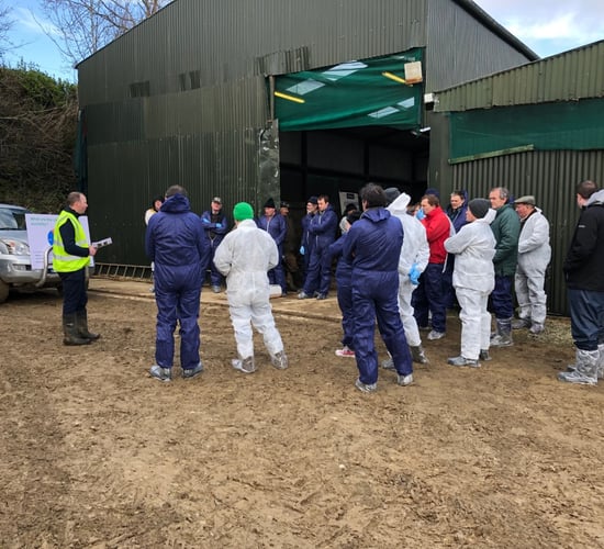 Pre-lambing workshop: How important is hygiene?