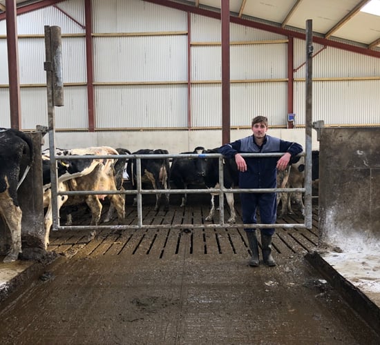 Video: Making life easier with the help of an up-and-over gate in Co. Cork