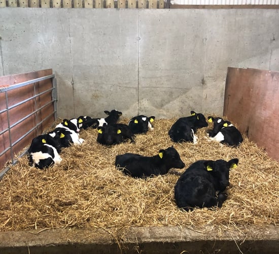 The importance of getting ventilation right this spring