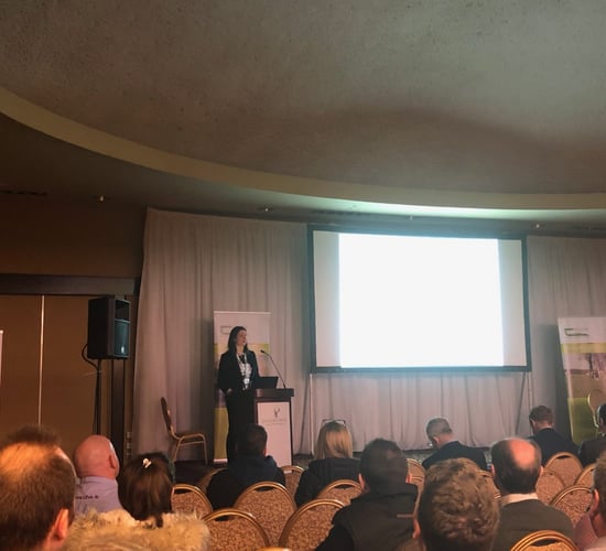 'Avoid dosing mature ewes for worms at all costs' - Orla Keane, Teagasc