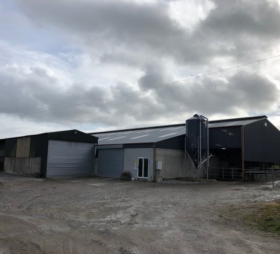 Buildings focus: A 16-unit parlour; drafting area; cubicles; and calf house under one roof