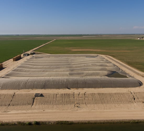 California’s dairy farms reach major milestone in reducing methane emissions