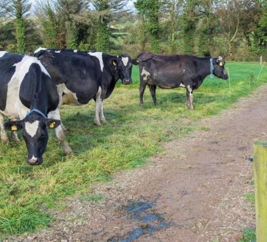 How this farmer went from zero to 60% soils at optimum soil fertility in just 4 years