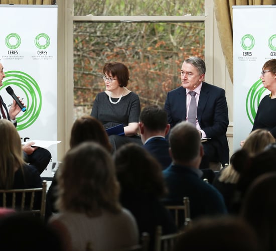 90% of Ireland's CAP payments go to one gender - department