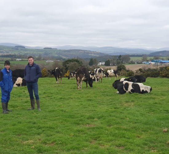 Spring phosphorus essential to set up grass growth for the season