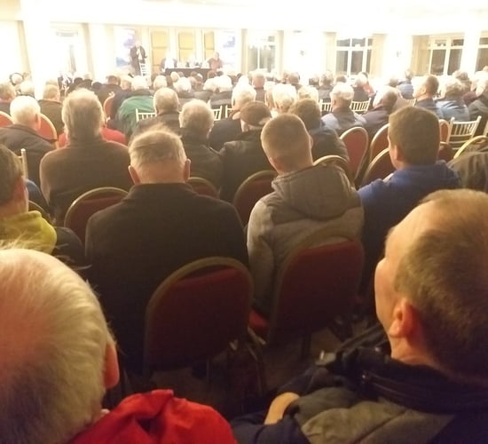 IFRG reiterates calls for €300/cow suckler scheme and new REPS