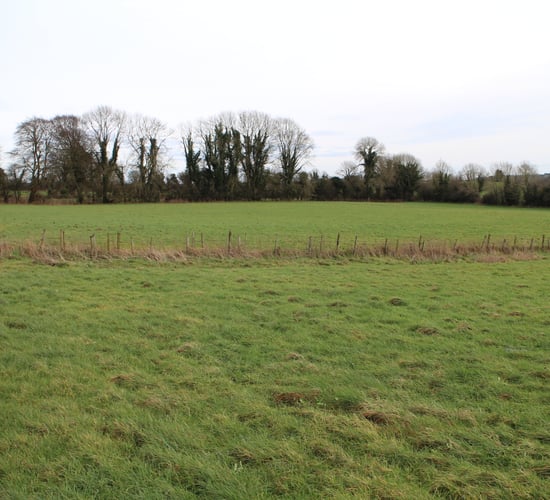 'Rose View': Agricultural land on 71ac with 140m of road frontage - to go on the block