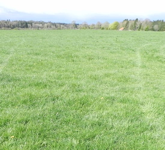 Looking for land in the heart of Co. Longford? Take your pick of 2...