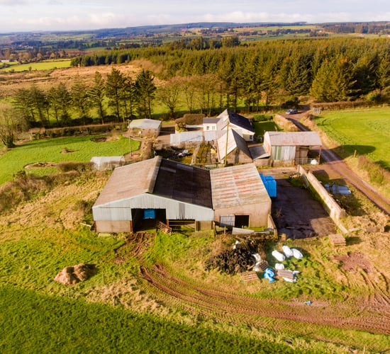 Permanent pasture, forestry and outbuildings...for sale on a 79ac residential holding