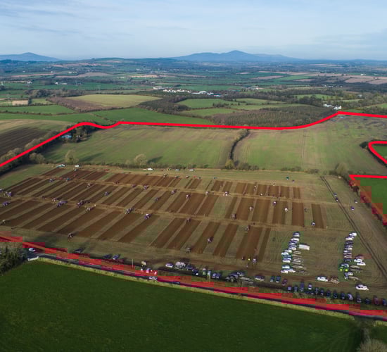 Video: 'Renowned land' on 63ac in Co. Wexford...due to go under the hammer