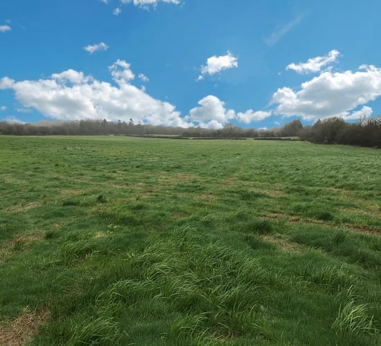 Looking for a change of scene? 18ac roadside holding may have development potential