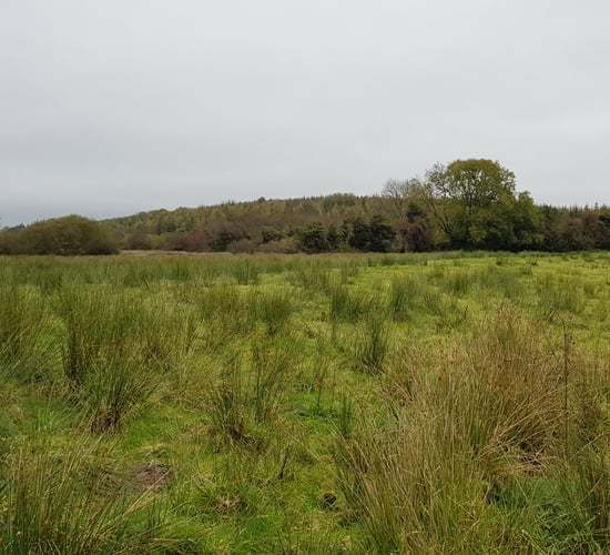 35ac residential farmland fully equipped for stock holding