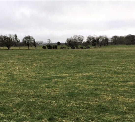 Residential farm in Galway guiding at €9,000/ac - in one division