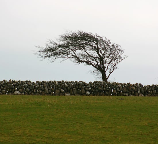 Storm Floris: Met Éireann issues weather warnings