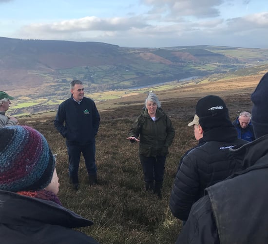 Information event hosted on future of hill farming in Dublin Mountains