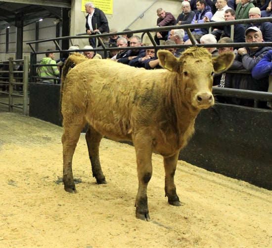 Memo to AgriLand: 'The next minister of agriculture has a lot of work to do'
