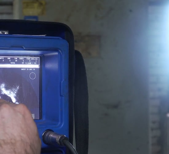 The ins and outs of scanning ewes