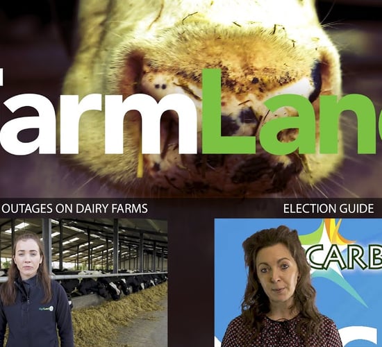 FarmLand 6th February 2020