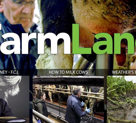 FarmLand 27th February 2020