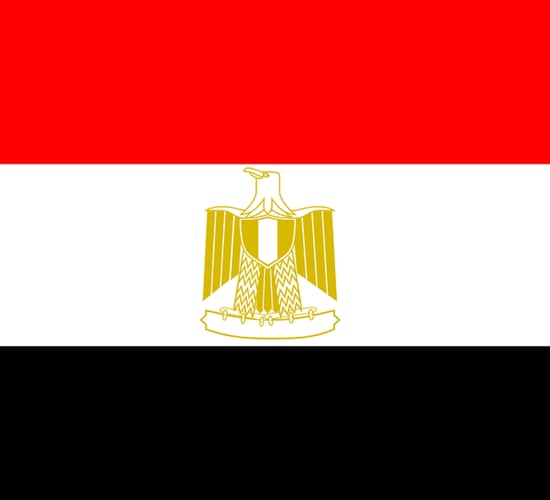 What is the potential for Irish live cattle exports to Egypt?