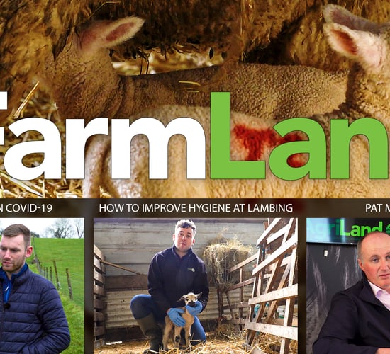 This week's FarmLand: Covid-19, river management and hygiene at lambing