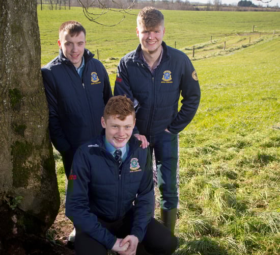 Antrim trio claim overall winners' prize in ABP Angus Youth Challenge